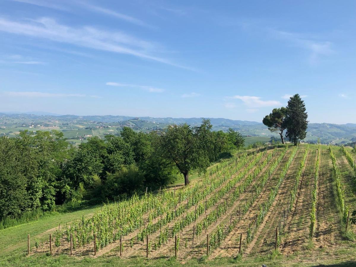 Cascina San Michele Bed & Breakfast Костилиоле ди Асти Екстериор снимка