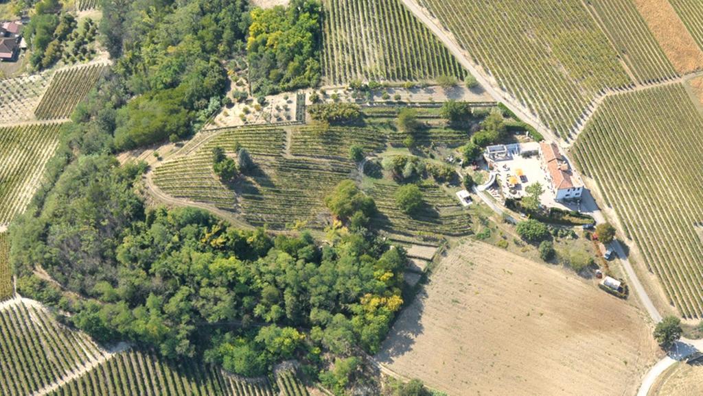 Cascina San Michele Bed & Breakfast Костилиоле ди Асти Екстериор снимка